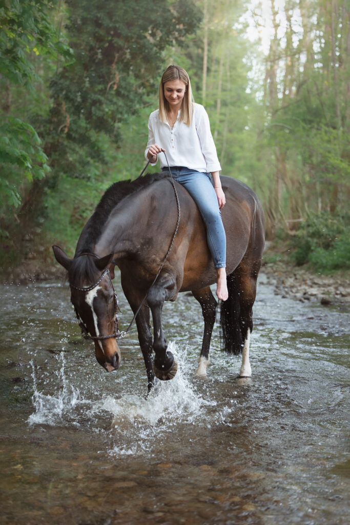 cheval qui jour dans l'eau rivière lalaye