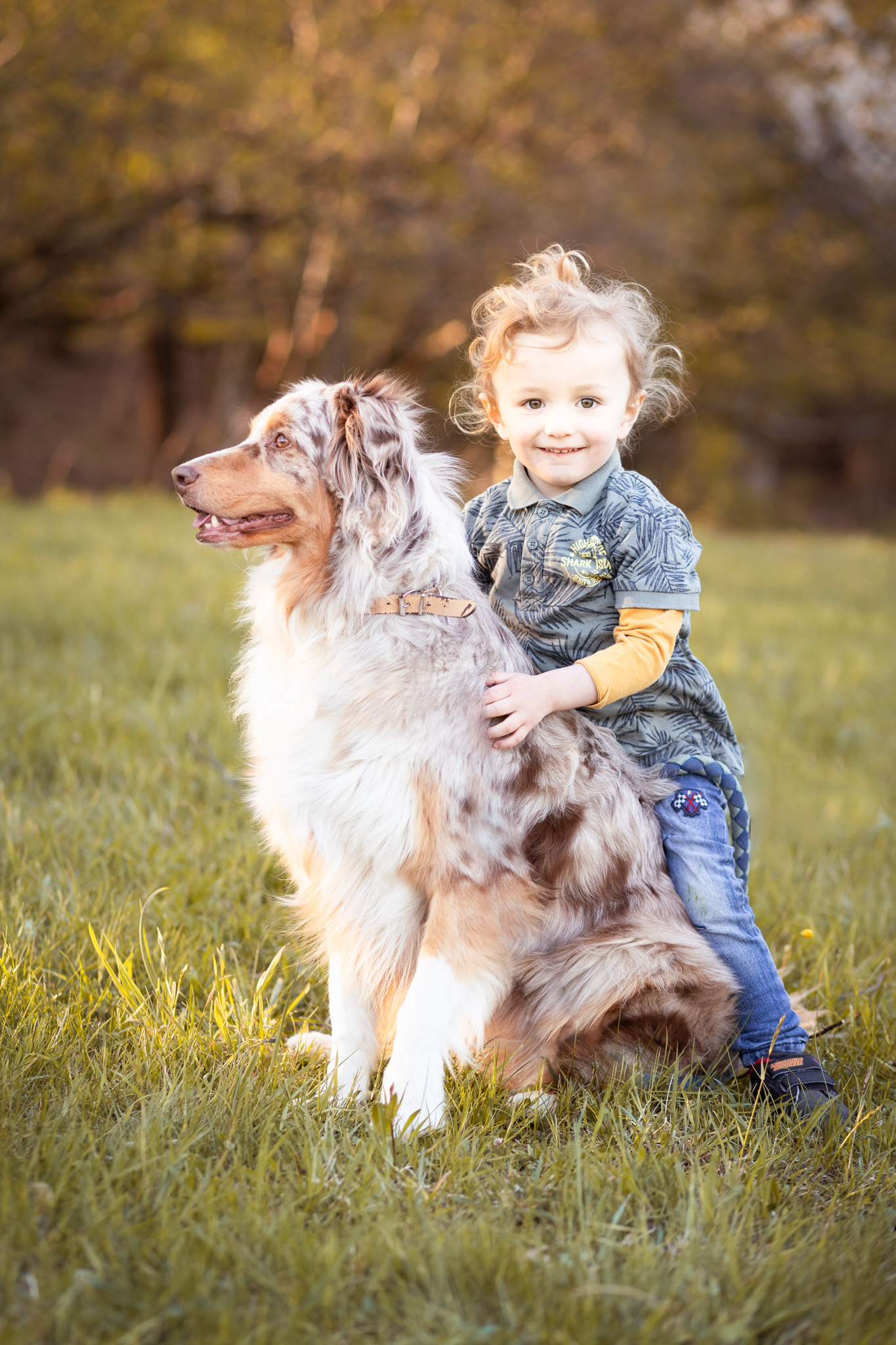 petit garçon qui prend la pose avec son chien berger australien